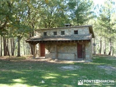 El Castañar de El Tiemblo , Un bosque mágico;senderismo y excursiones;rutas para andar por madrid